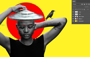 Importing the crow on the model