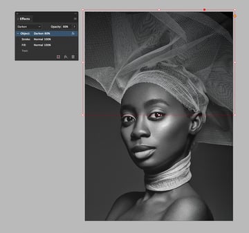 set the blending mode to darken and lower the opacity on both rectangles