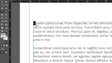 InDesign zoom tool
