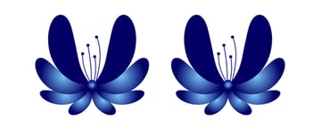 Adding decoration to the flower