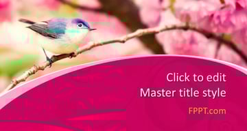 Bird - Pink PowerPoint Background