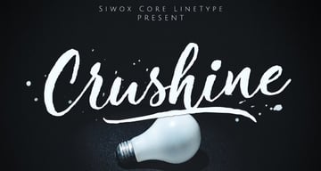 Crushine Wet Brush