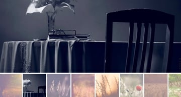 Master Slider: Touch Layer Slider WordPress Plugin