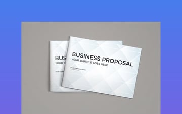 Unique Professional Proposal Example