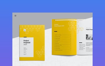Vibrant Professional Proposal Example