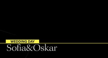 Zoom Lower Third Premiere Pro