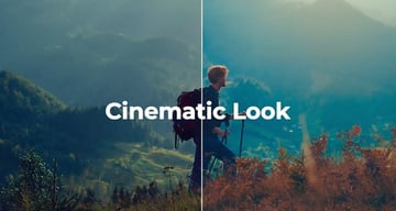 LUT Color Presets | Premiere Pro