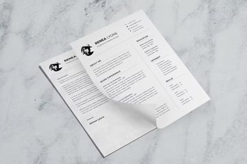 CV Resume - Finance Resume Sample