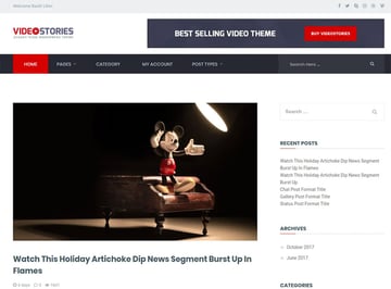 VideoStories (Free WordPress Video Theme)