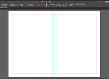 Finish placing spine guides