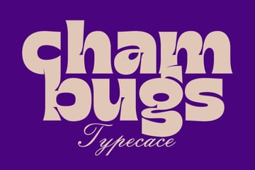 Chambugs is a chunky 2024 cool font.