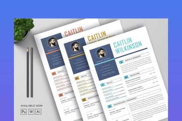 Lebenslaufvorlage Seiten