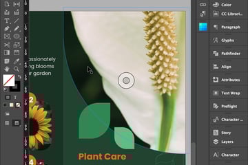 Image preview without guides