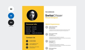 Professional Job Resume