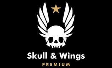 Wings and Skull Logo