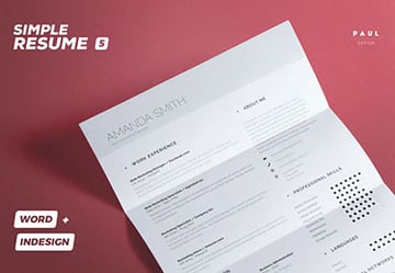 Simple Resume Cv Volume 5