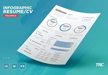 Infographic Resume Cv Volume 3