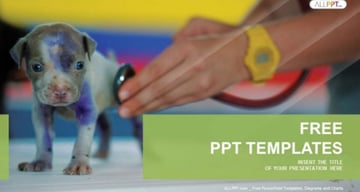 Vet Clinic PowerPoint Template
