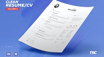 Clean Template CV for Google Docs