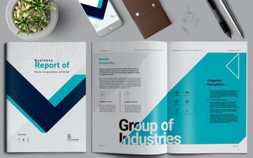 Annual Report Brochure Layout