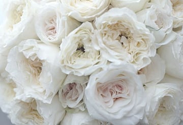 Bridal Bouquet of White Flowers
