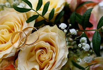 Wedding Rings Over Yellow Flowers
