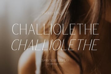 Top typefaces: Challiolethe is a sans serif display font.