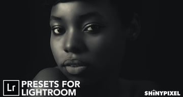 Monochromatic Vol. 2 - 20 Lightroom Presets