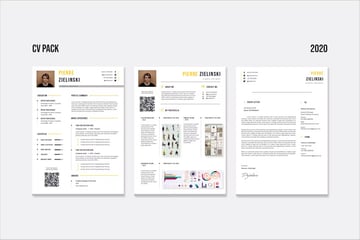 CV Resume Infographic Template - Pack