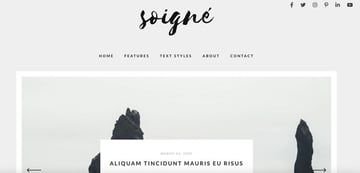 Soigne is a responsive minimal WordPress blog theme