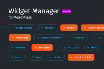 Widget manager for WordPress