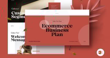Ecommerce Business Plan Template