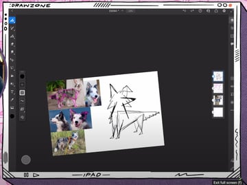 Adobe Fresco tutorial: Loose sketch of Emma the Border Collie.