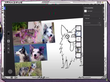 Adobe Fresco tutorial: Cleaner sketch of Emma the Border Collie.