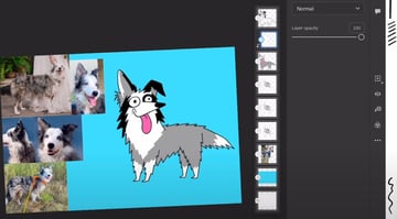 Adobe Fresco tutorials​: Sketch of Emma the Border Collie with more color.