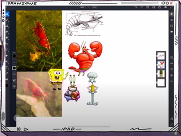 Pet drawings: anatomical shrimp diagram and Spongebob characters for reference.