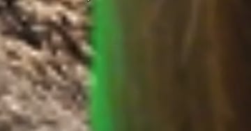 Left Over Remnants Of Edit Visible On Edge Of Top Layer Image