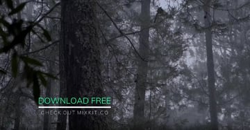 Line Drop Lower Third Thumbnail Image with DaVinci Resolve Effects.