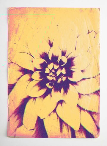 final botanical gel print