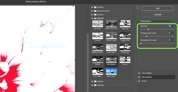 tweak the filter settings on the second botanical print layer