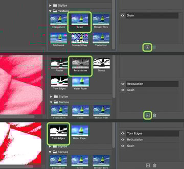 Filter settings to simulate a botanical gel print