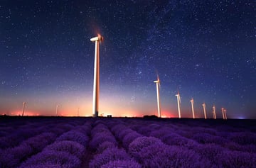 Lavender night