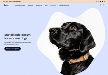 fetch shopify theme screenshot