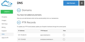 Digital Ocean DNS Web Console