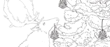 Set a Game Plan for Colors Story and References