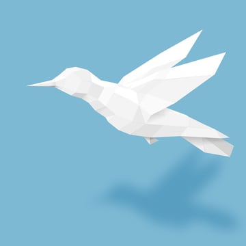 Paper Bird Adobe Illustrator Tutorial