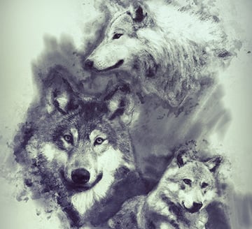 Digital Sketch Photoshop Action 