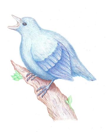 How to Draw a Bird Step by Step