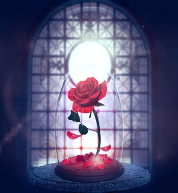 How to Create an Enchanted Rose Photo Manipulation in Adobe Photoshop