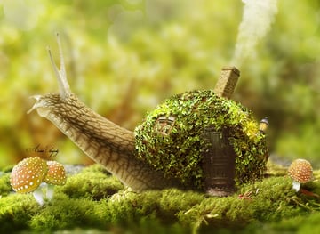 How to Create a Fantasy Snail Photo Manipulation With Adobe Photoshop